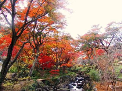 ホテル周辺 ホテルリゾーピア熱海の写真