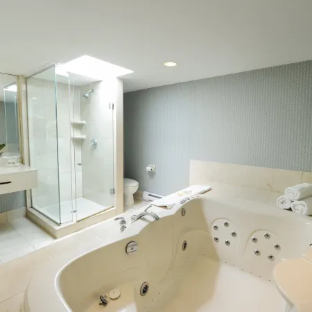 Holiday Inn NIAGARA FALLS - BY THE FALLS by IHG