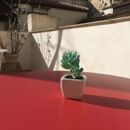 Cialoma B&B