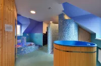 克羅梅日什 - 佐比采養生旅館 - SPA