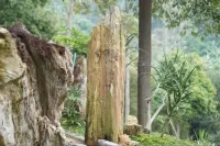 Lembah Batu Heritage Hôtels à : Langkapura