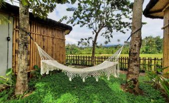 Sawah Ijen & Guest House Banyuwangi