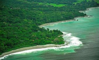 a lush green landscape with a sandy beach and crystal - clear waters , creating a serene and natural environment at Lapa Rios Lodge by Boena