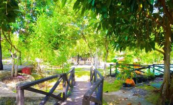 Bougainvillea Paradise Campground