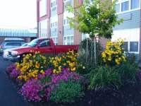 Claymore Inn and Suites - Parkplatz