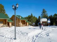 Uludag Orman Koskleri Hotels in Ahmet Vefik Paşa Mahallesi