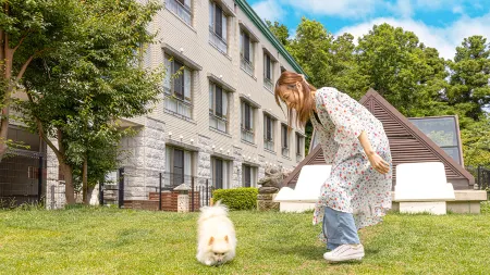 Ｌｏｖｅ　Ｄｏｇ　Ｒｅｓｏｒｔｓ　愛犬お宿　伊豆高原