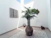 Luz