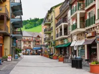 Slope-Side Studio Bliss: Ski-in/Ski-Out, Renovated at Blue, Hot Tub, Fast Wi-Fi Hotels near Blue Mountain