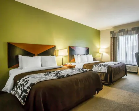 Sleep Inn & Suites Montgomery East I-85