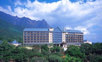 Yakushima Iwasaki Hotel