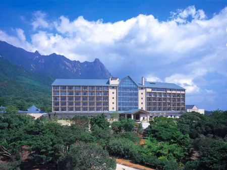 Yakushima Iwasaki Hotel Отели в г. Якусима