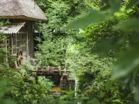由布院 ことぶき 花の庄