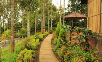 Paddy View Resort