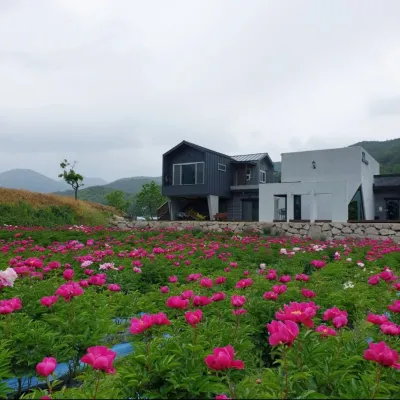 제이제이갤러리카페펜션