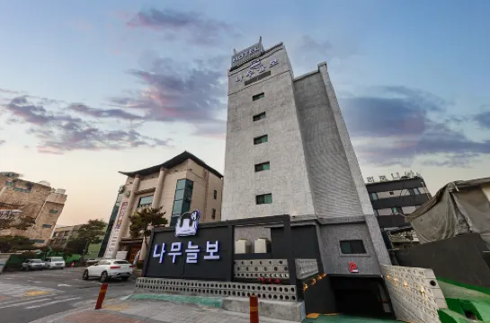Cheongju Hotel Namuneulbo