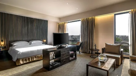 Hyatt Raipur