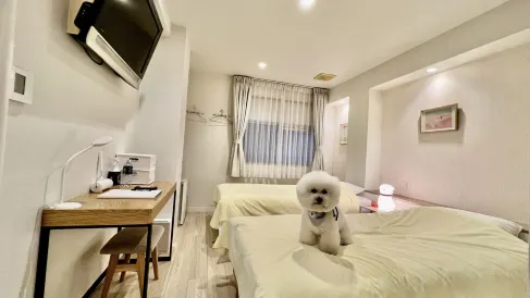 호텔 3 오클락 덴노지