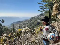 Ashiyana Guest House Murree Hoteles en Jhika Gali