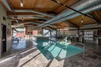 49'er Inn & Suites - مسبح