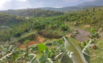 Thông Farmstay Loc Duc