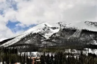 Forest Park 3 bed 4 Bath Twnhm HTJM Hotels in 