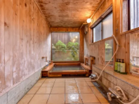 Bunke Hotels in Tenei