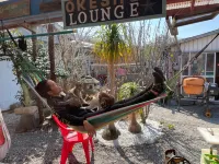 Niijima Okesho Hotels in Niijima