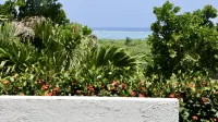 Bosoa Lodge - 度假村