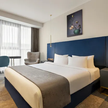 Ramada by Wyndham Tbilisi Old City