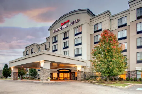 SpringHill Suites Wheeling Triadelphia Area