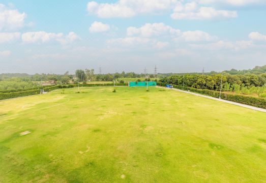 인도 음식 사진