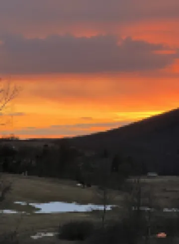 Primitive Tent Site #2