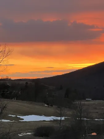 The Black Bear Vintage Camper