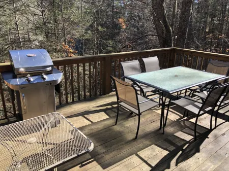 PRICE DROP, COME BACK: Cozy Mountain Retreat in Linville Land Harbor