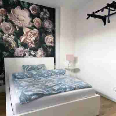 Design apartment "Hagen11" in the center (pet friendly) Rooms