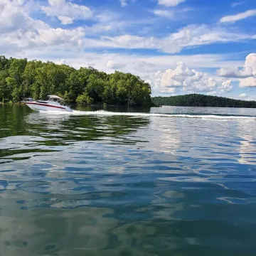 Clean, family/pet friendly AR Ozark Mountain/Norfork Lake Front Cabin