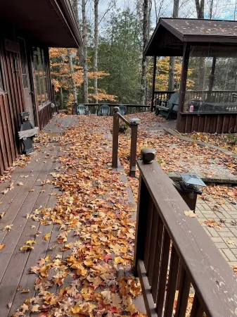 Cozy family cottage near Crystal Mountain on the Betsie River.