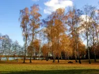 Holiday apartment "Seewohnung" in a holiday home - directly on the lake