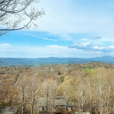The Beech Club - Breathtaking Views! Pet Friendly!