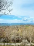 The Beech Club - Breathtaking Views! Pet Friendly!