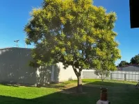Serene & comfortable Southwestern home in Dalhart for you and your pets… Hotels in Dalhart