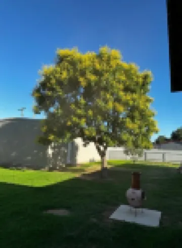 Serene & comfortable Southwestern home in Dalhart for you and your pets…