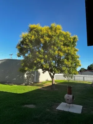 Serene & comfortable Southwestern home in Dalhart for you and your pets… Hotels in Dalhart