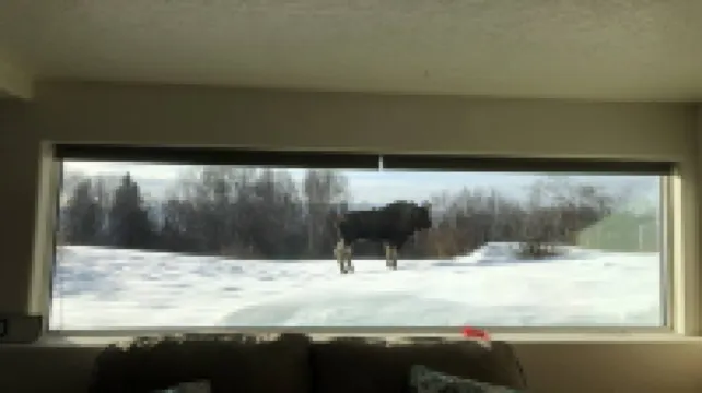 Luxurious Secluded Hillside 1000 sq ft Studio on 5 acres