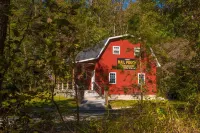 Unique & Cozy Cabin with Gas Fireplace;Relax by Firepit & Pond! 6 Private Acres! Hotels in Adams County