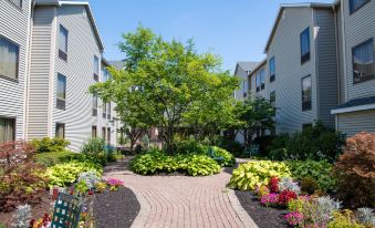 Hampton Inn & Suites Rochester/Victor