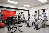 Hilton Garden Inn Providence Airport/Warwick - Gym