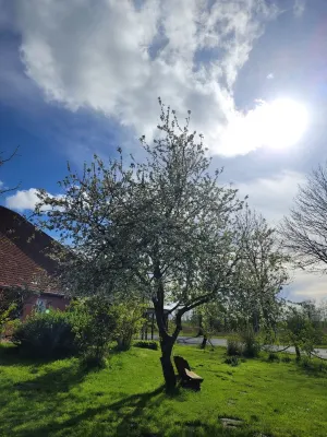 Apartment "Soeven" at the Anelis farm