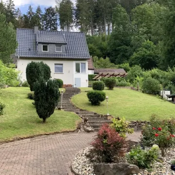 Forest view in the Lerbachtal / Harz